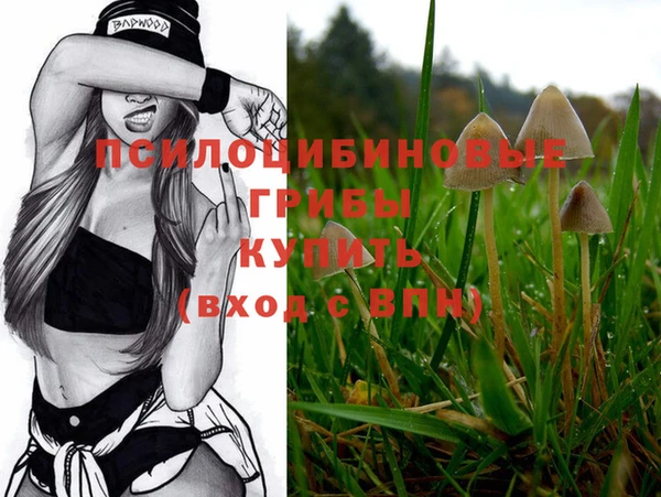 кокаин перу Елабуга